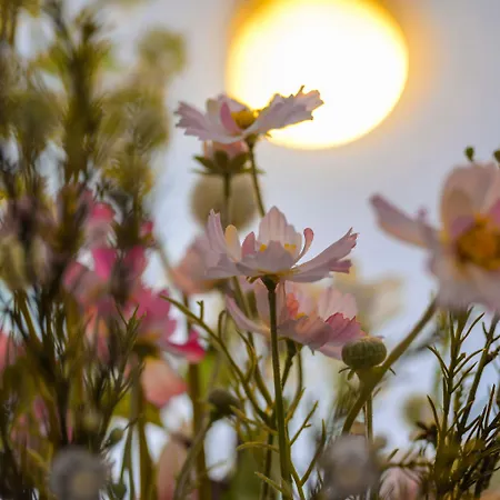 De La Poste Szálloda 2*